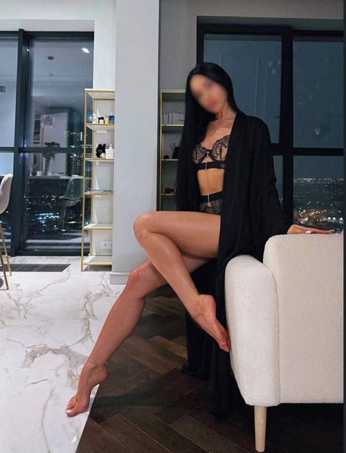 Лиса, +7 981 028 70 23